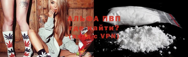 метадон Богданович
